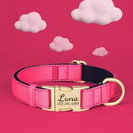 8 Colors Nylon Dog Collar Personalized Dog Collars Colorful Custom Pet ID Collars Necklace Breathable for Small Medium Dogs Pug - shimendi