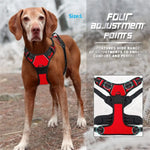 Dog Collars Harness Big Vests Leash Pet Shop Everything for Dogs Leather Puppy Accessories Medium Small Set - shimendi