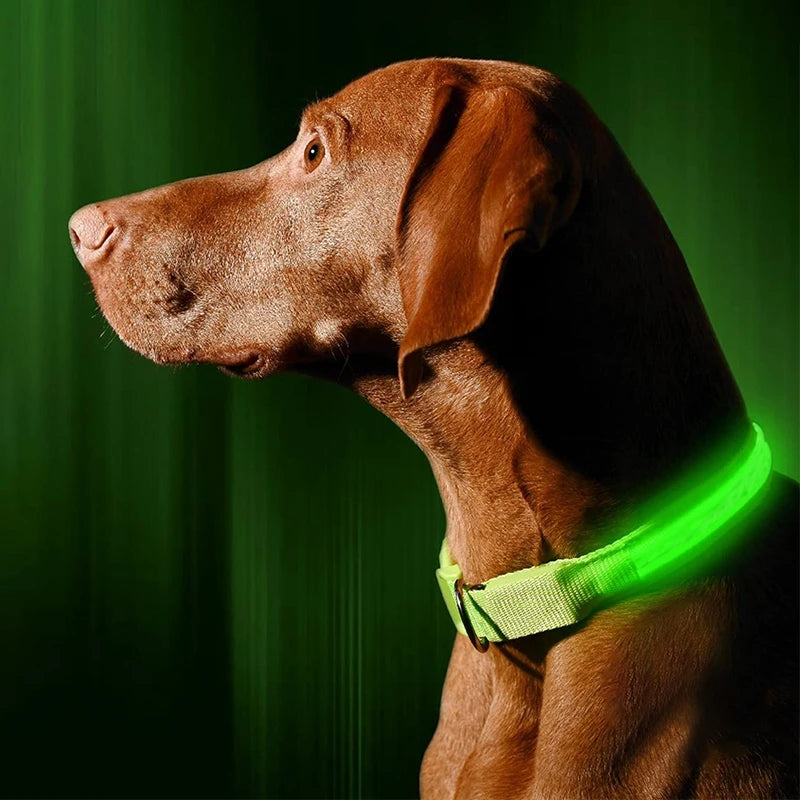 USB Charging LED Dog Collar Anti-lost Safety Night Light Luminous Dogs Necklace Adjustable Nylon Pet Glowing Collars Supplies