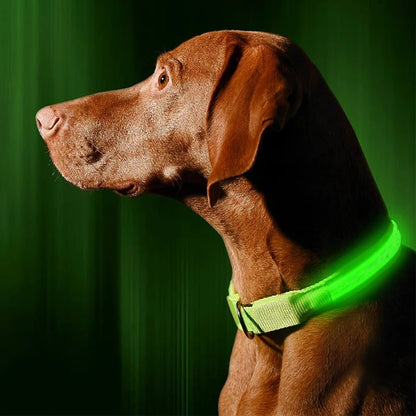 USB Charging LED Dog Collar Anti-lost Safety Night Light Luminous Dogs Necklace Adjustable Nylon Pet Glowing Collars Supplies