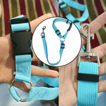 Solid Color Two-in-one Pet Car Seat Belt Nylon Lead Leash Backseat Safety Belt Adjustable Dogs Harness Collar Pet Accessories - shimendi