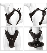 SMALL COMBINATION Dog Harness No Pull Reflective Pet Dog Chest Harness Adjustable for Small Medium Large Dogs Outdoor Walking shimendi Sécurité et Confort pour Chien chat| Shimendi