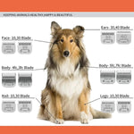 Dog Grooming Clipper Replacement Blades Compatible with Andis Pet Clipper/Oster-A5/Wahl KM-10 Series Dog Clipper shimendi Sécurité et Confort pour Chien chat| Shimendi