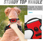 Dog Collars Harness Big Vests Leash Pet Shop Everything for Dogs Leather Puppy Accessories Medium Small Set - shimendi