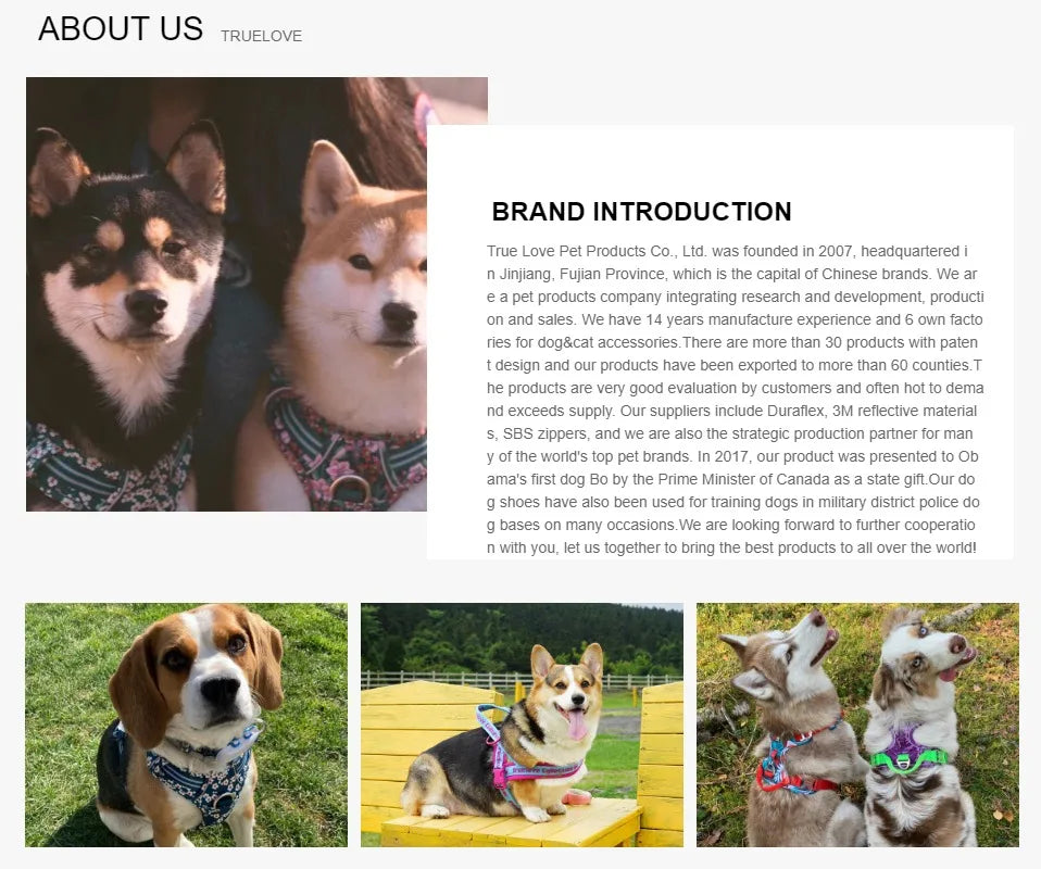 Truelove Pet Harness Small Medium Large Split Dog Fashion Outdoor Dropshipping