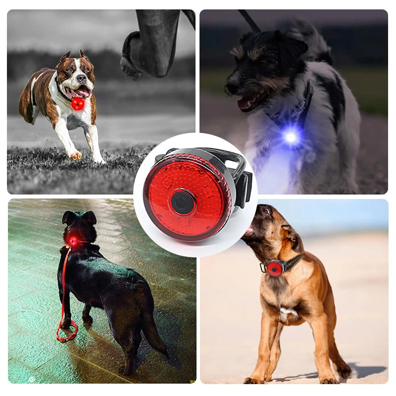 1-5Pcs LED Light Dog Collar Night Walking Pet Cat Glowing Pendant Safety Luminous Collar Dog USB Rechargeable 3 Modes Flashlight