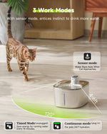 APETDOLA 4L Wireless Cat Water Fountain Auto Sensor Drinking Fountain For Cats Dog Drinker Pet Water Dispenser Accessories - shimendi