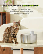 APETDOLA 4L Wireless Cat Water Fountain Auto Sensor Drinking Fountain For Cats Dog Drinker Pet Water Dispenser Accessories - shimendi
