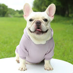 Winter Pet Dog Clothes Hoodies Warm Sweater with Pockets Coat Outfit Puppy Jacket Cotton Pet Costume Chihuahua Sweatshirt Perro shimendi Sécurité et Confort pour Chien chat| Shimendi