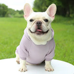 Winter Pet Dog Clothes Hoodies Warm Sweater with Pockets Coat Outfit Puppy Jacket Cotton Pet Costume Chihuahua Sweatshirt Perro - shimendi