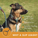 Durable Slip Rope Dog Leash Collar 2 in 1 Adjustable Loop Collar Comfortable Small Meidum Large Pet Harness Leash