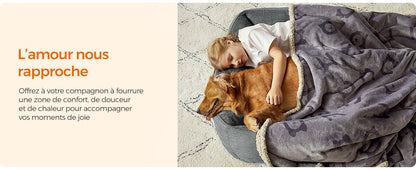 Feandrea Dog Basket, Raised Edge, Non-Slip, Removable Washable Cover, XL Size for Large Dogs, 100 x 75 x 25 cm, Grey