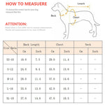 Sweet Pet Clothes for Cats Winter Warm Cat Costume Katten Gotas Kedi Sphynx Hoodie Sweater Puppy Dog Clothing Mascotas Products